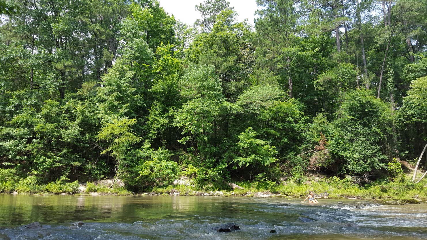 Kisatchie Bayou Complex Camping The Dyrt