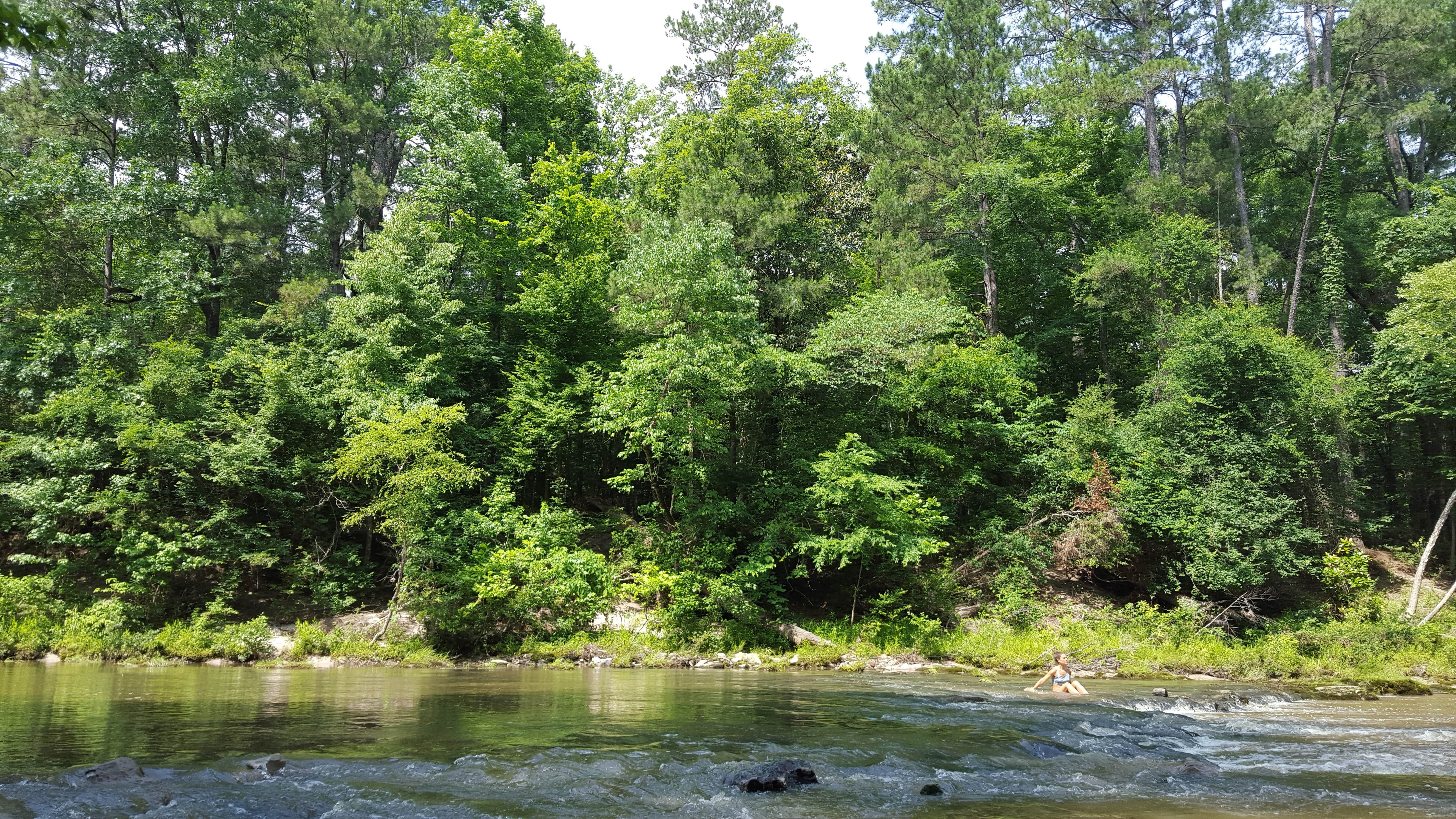 Camper submitted image from Kisatchie Bayou Complex - 3