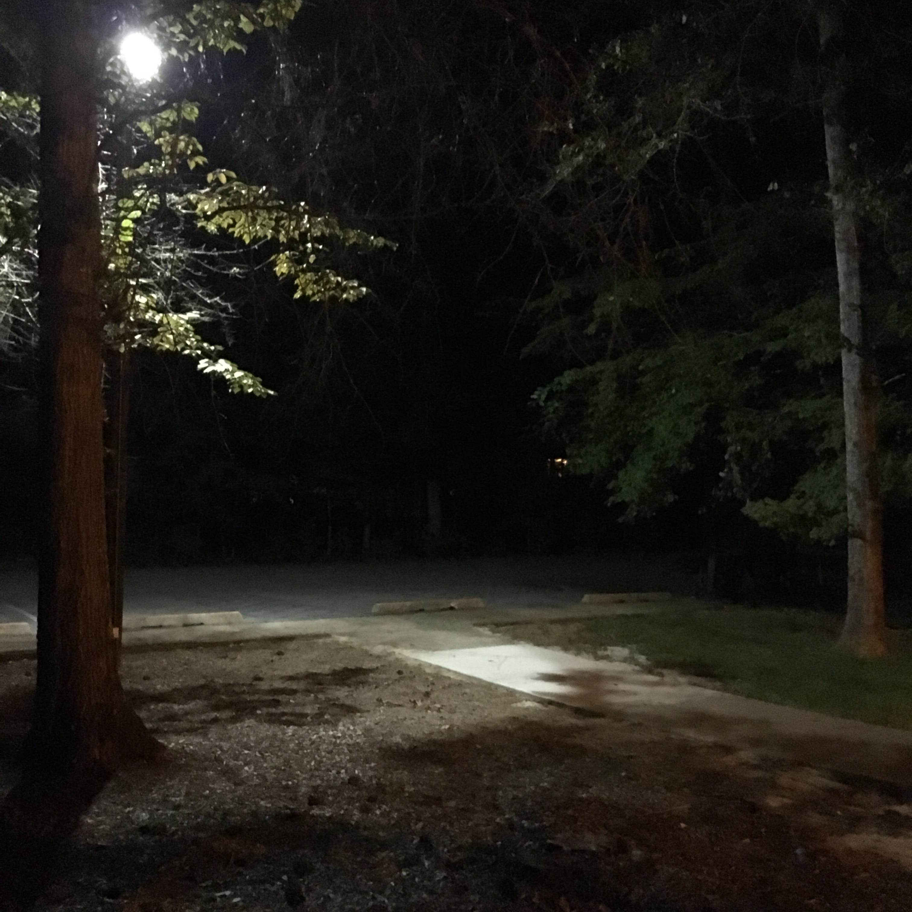 Camper submitted image from Holt Lake - 1