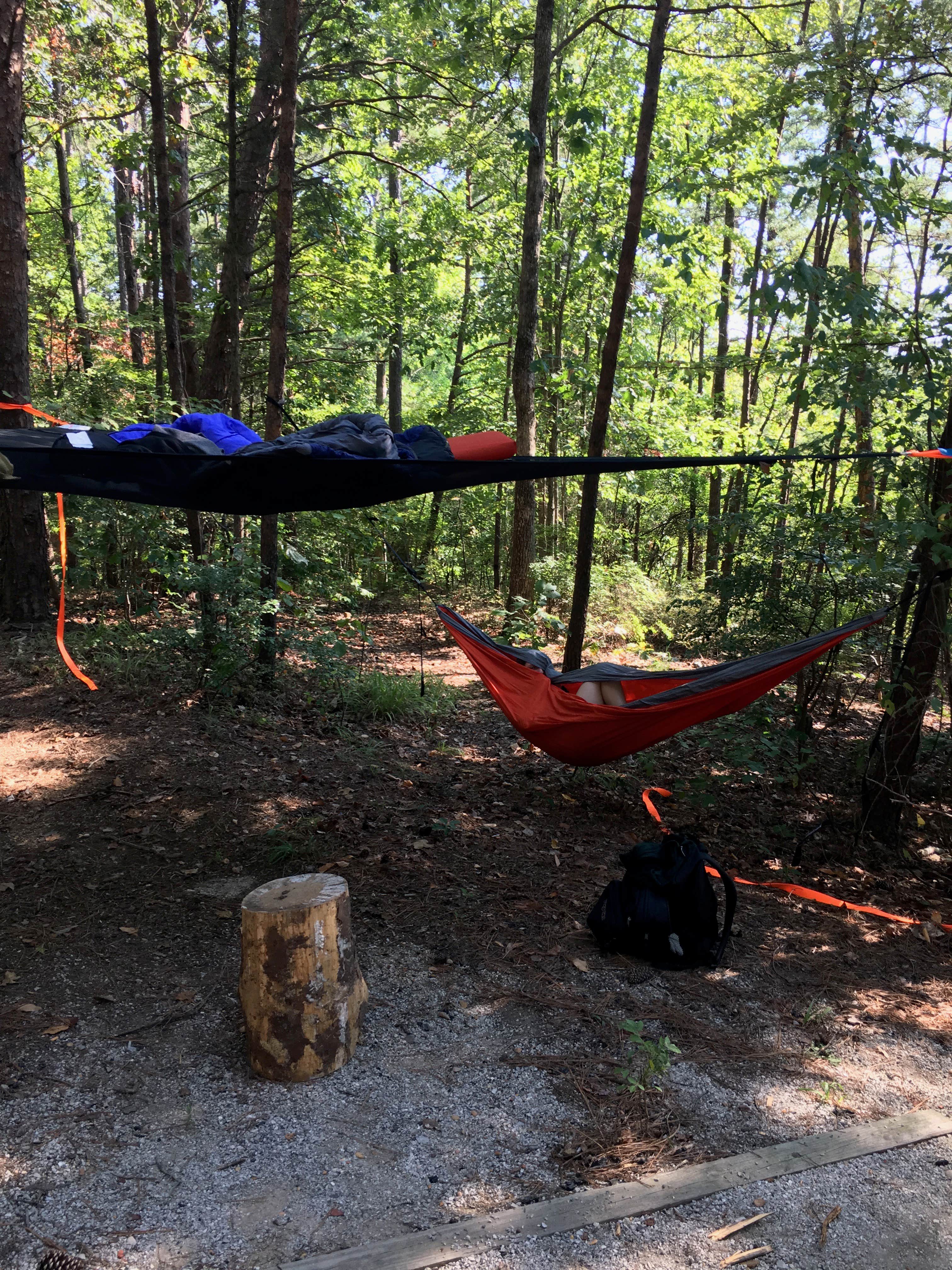 Camper submitted image from Holt Lake - 4