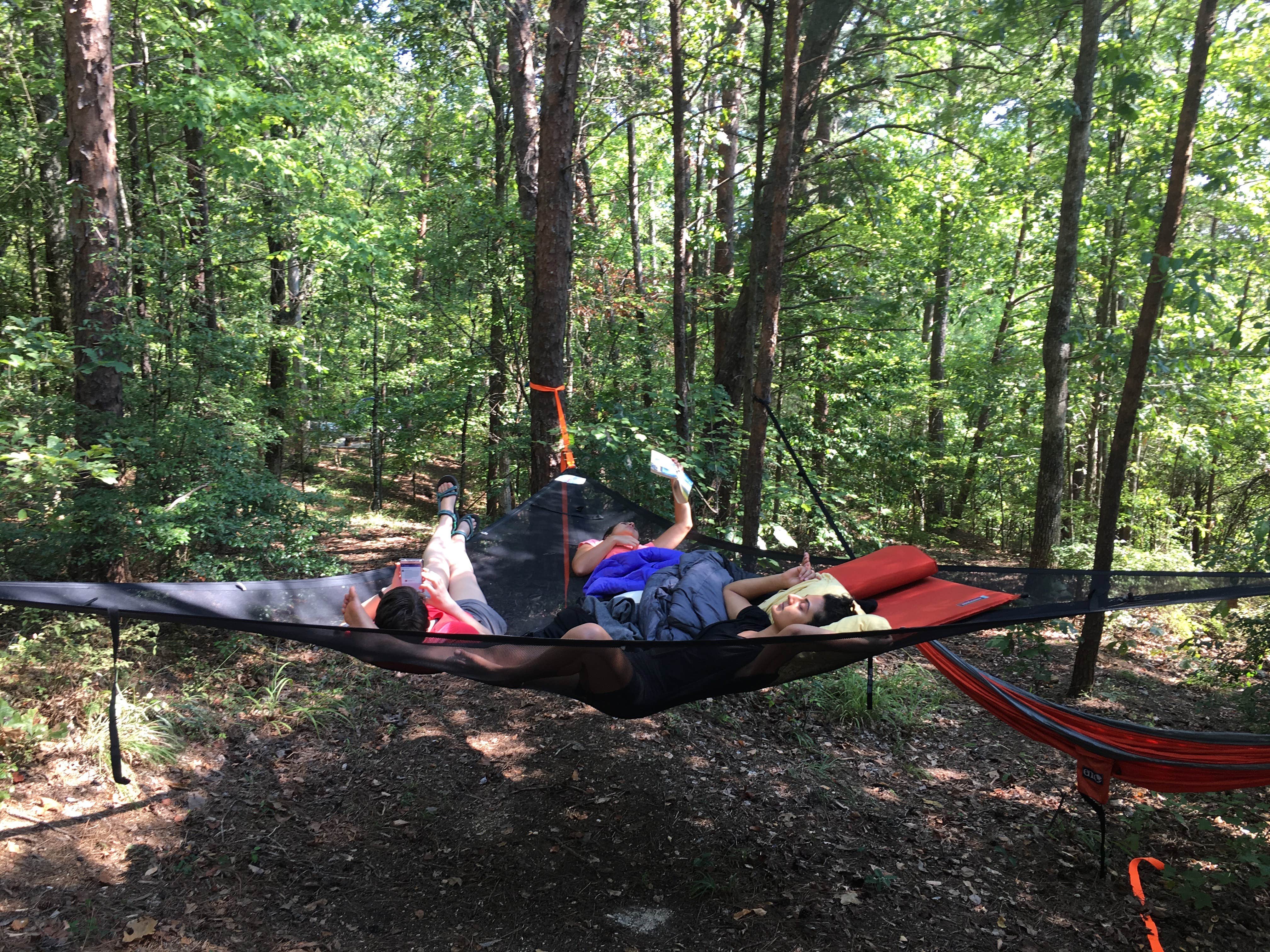 Camper submitted image from Holt Lake - 5