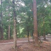 Review photo of Kisatchie Bayou Complex by Lindsey F., June 23, 2016