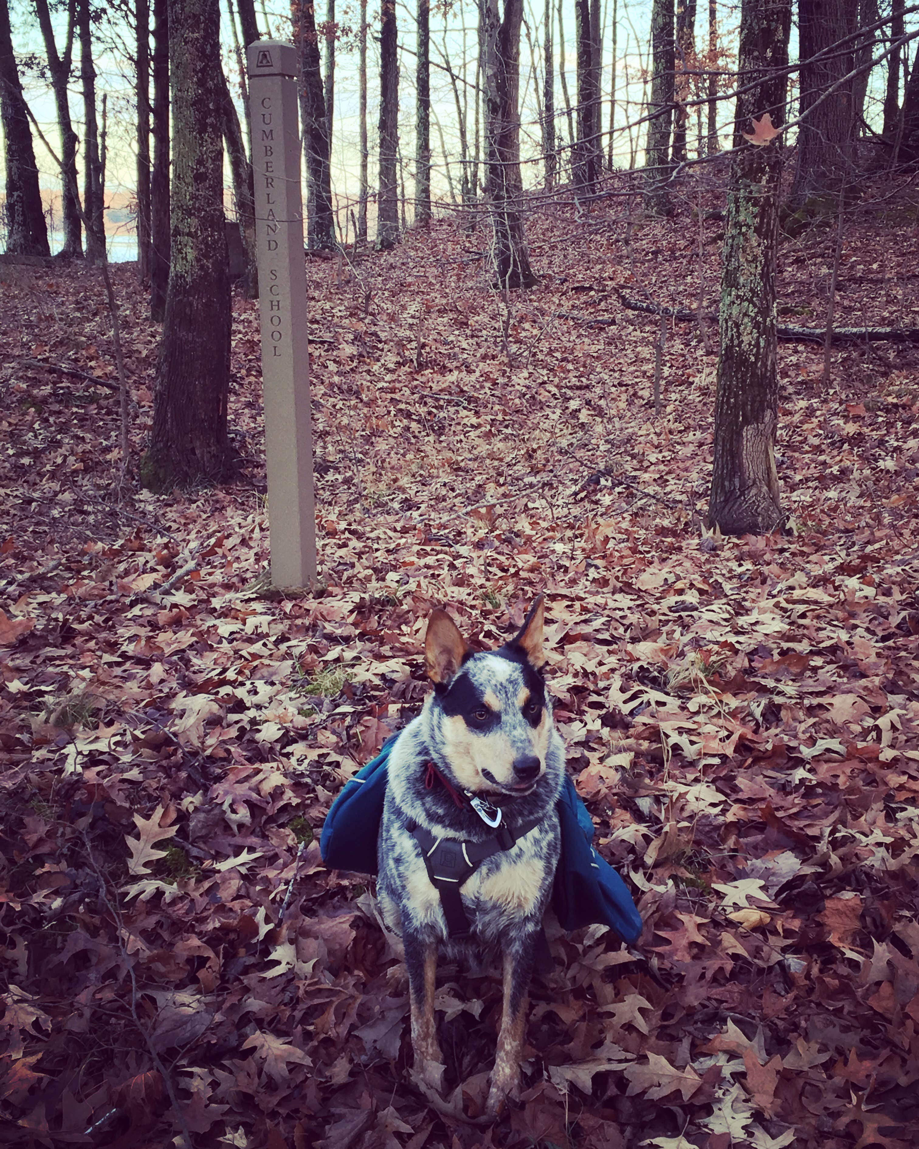 Camper-submitted photo at Bacon Creek near Barkley Lake
