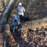 Review photo of Bacon Creek by Shelly S., July 1, 2017