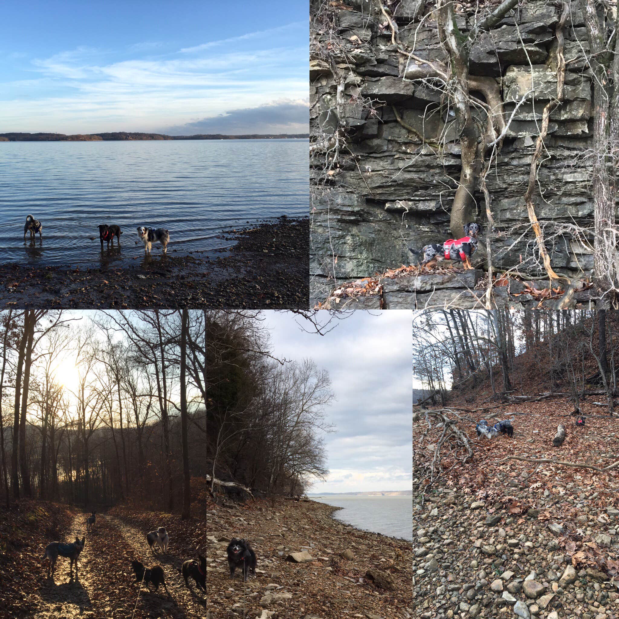 Camper-submitted photo at Bacon Creek near Barkley Lake