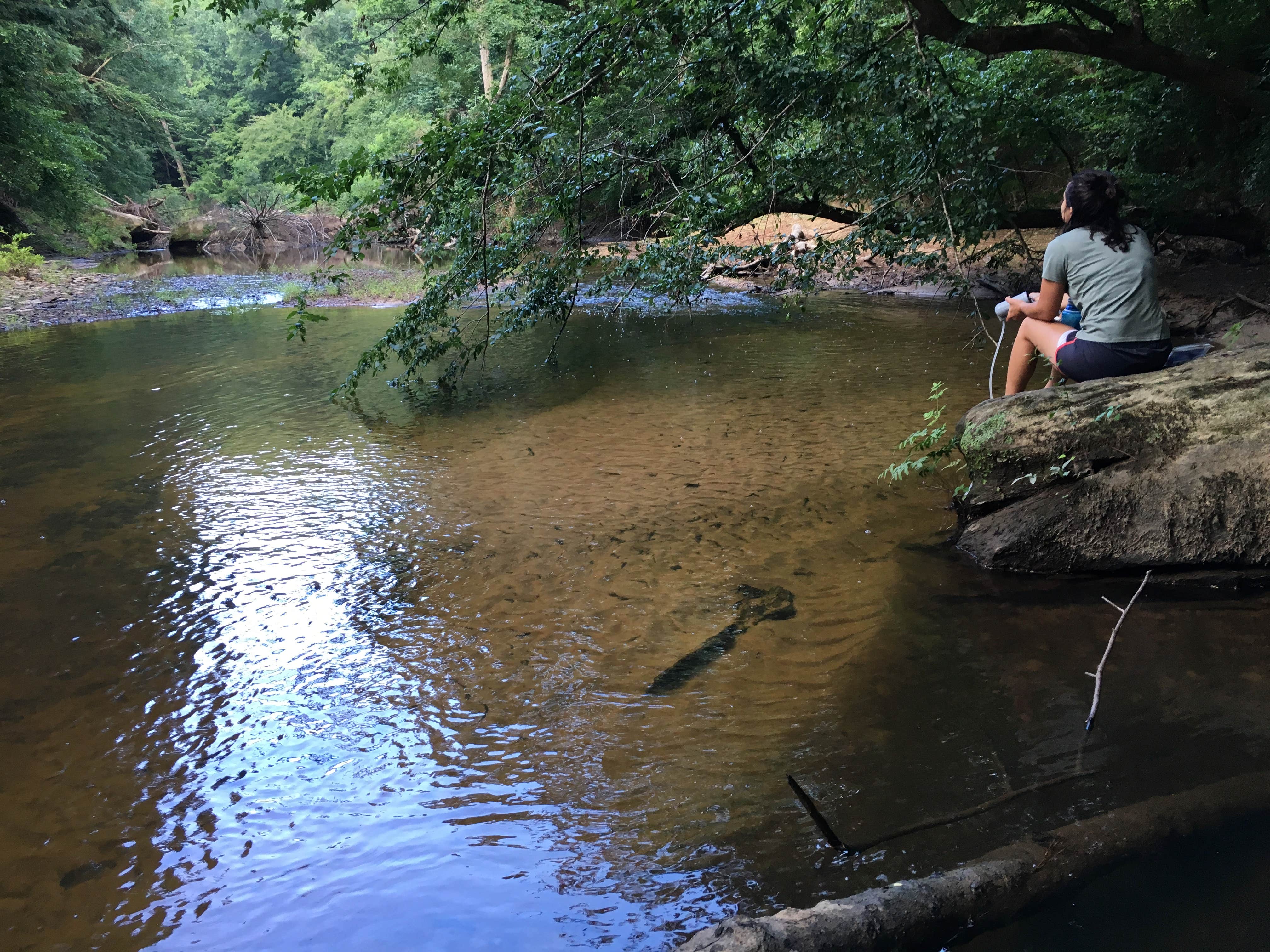 Camper submitted image from Houston Recreation Area - 3