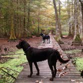 Review photo of South Campground — Chicot State Park by Lindsey F., June 23, 2016