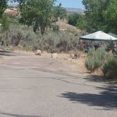 Review photo of Steinaker State Park Campground by Cortney M., July 1, 2017