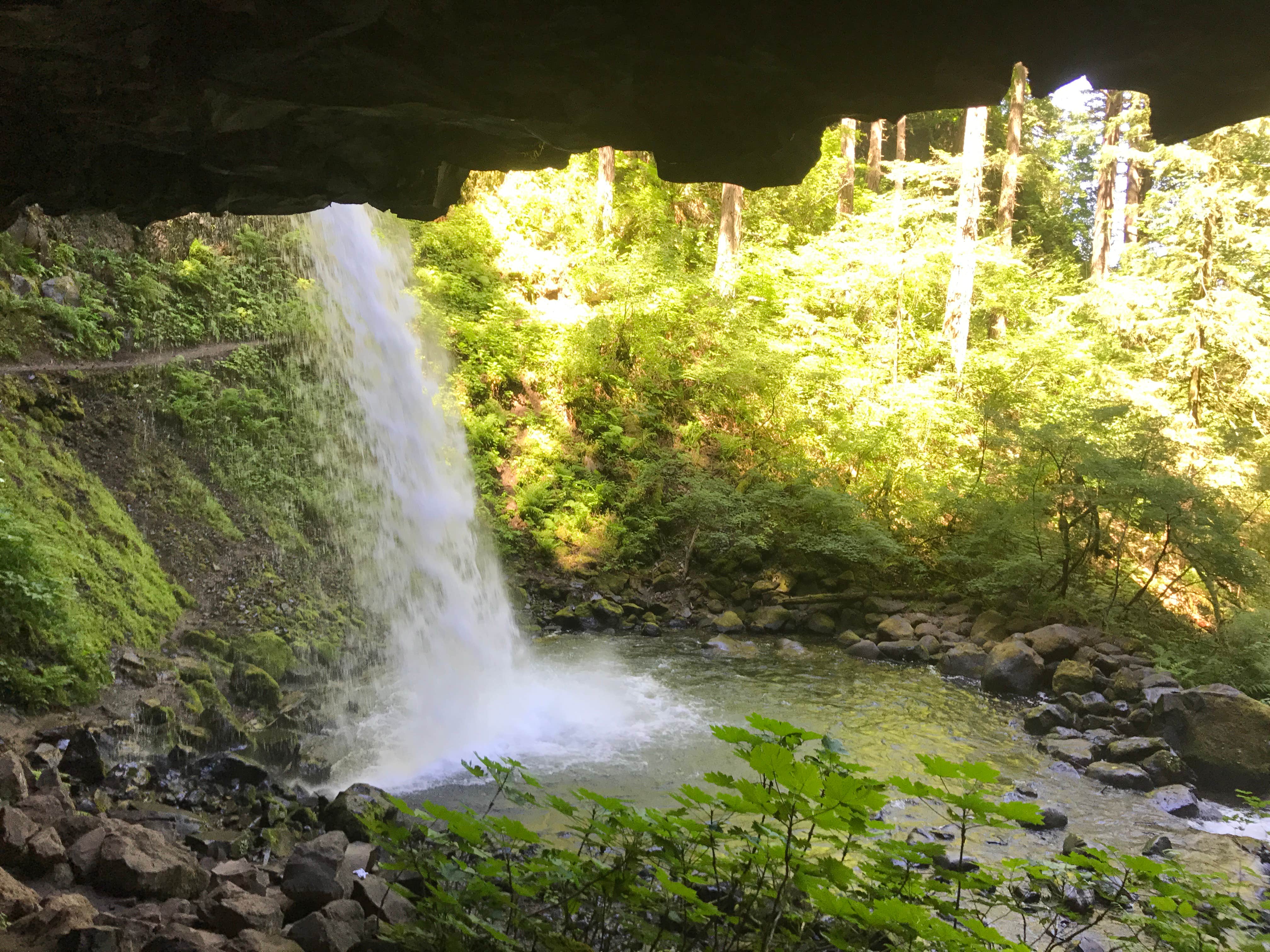 Camper submitted image from Ainsworth State Park Campground - 4