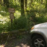 Review photo of Ainsworth State Park Campground by Stephanie Z., July 1, 2017