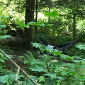 Review photo of Ainsworth State Park Campground by Stephanie Z., July 1, 2017