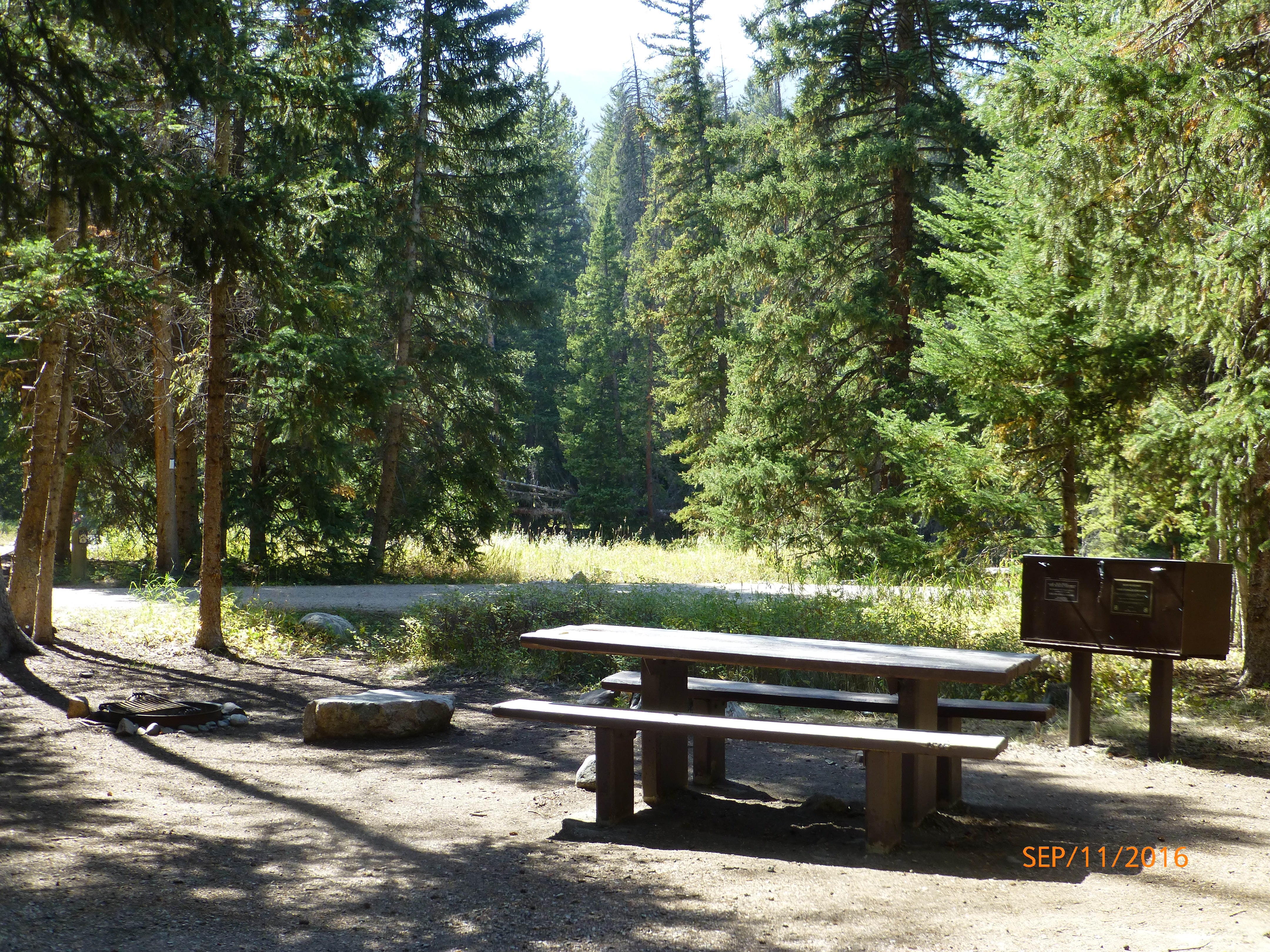 A typical spacious site showing fire ring, table, and metal bear box (on right side)