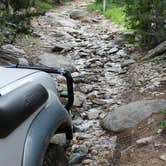 Review photo of Shoshone Lake — Yellowstone National Park by Michelle  E., June 23, 2016