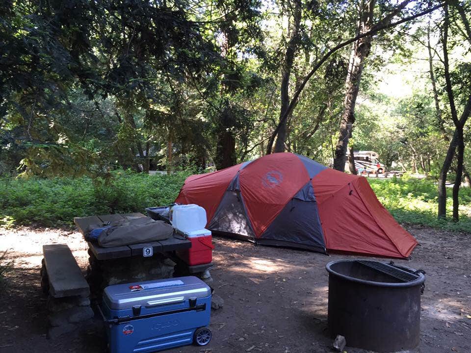 Kathy M.'s photo of tent camping at Pfeiffer Big Sur State Park Campground near Freedom, CA