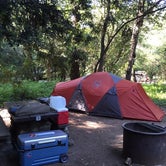 Review photo of Pfeiffer Big Sur State Park Campground by Kathy M., July 1, 2017