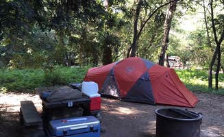 Kathy M.'s photo at Pfeiffer Big Sur State Park Campground near Carmel Valley Village, CA