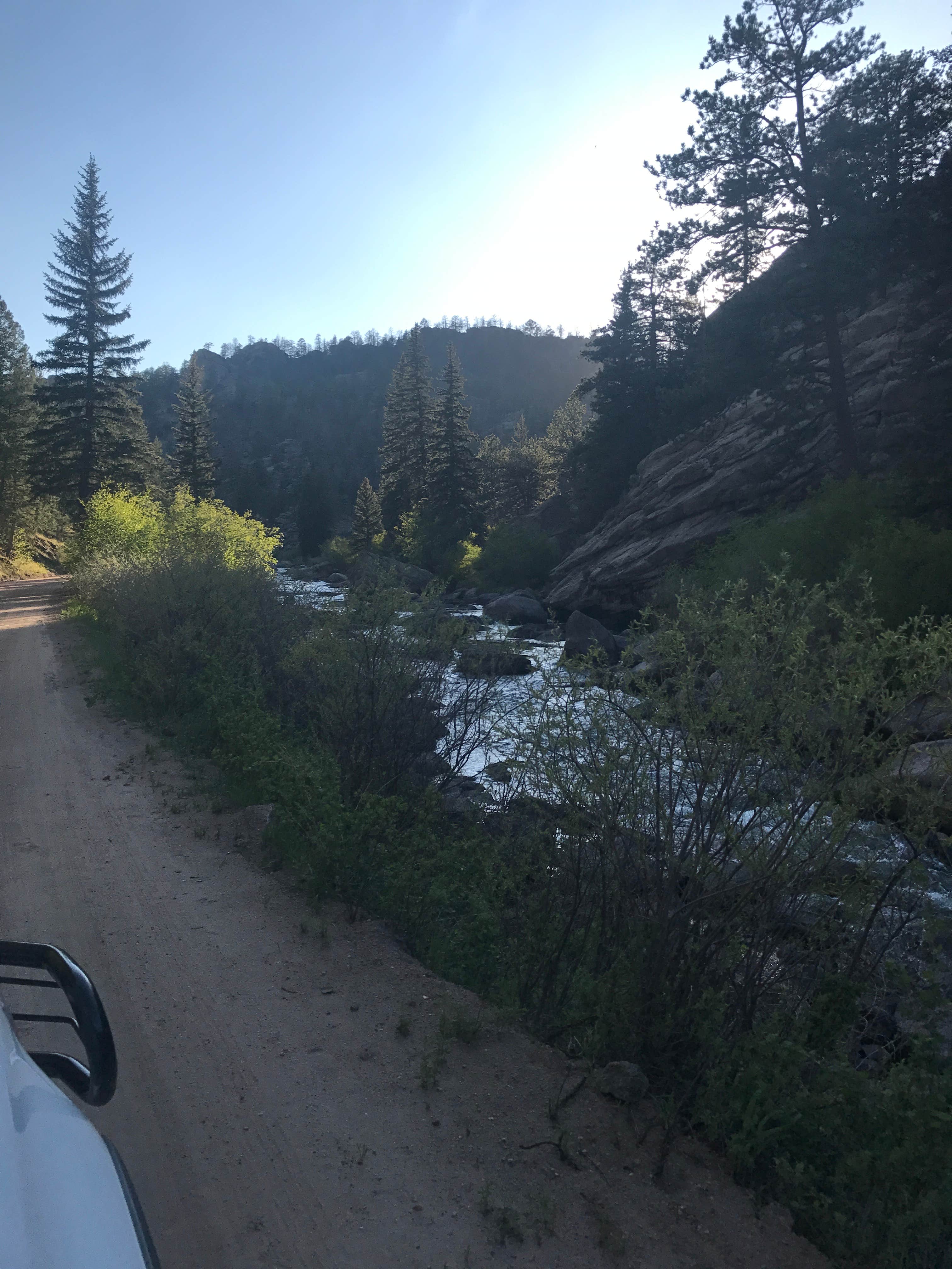 Camper submitted image from Springer Gulch - 4
