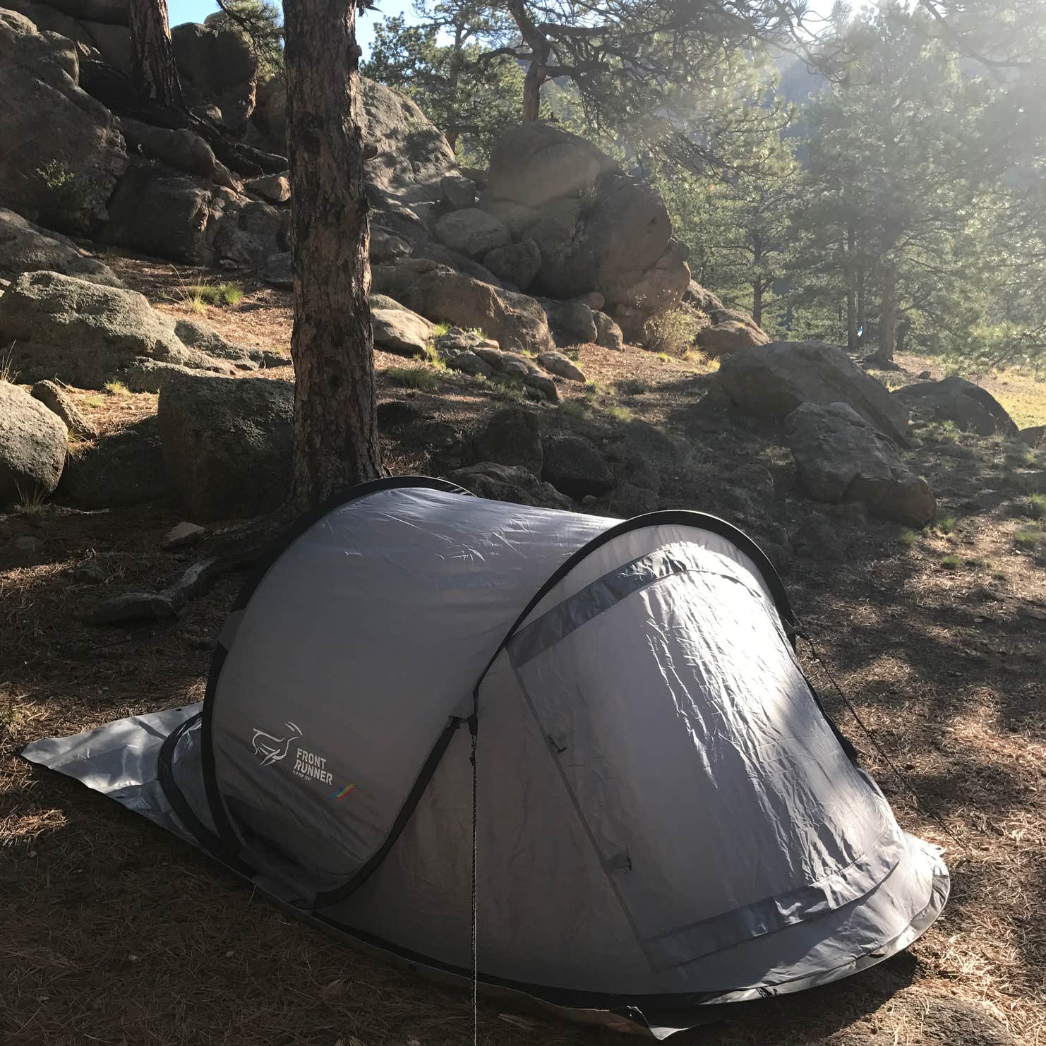 Springer Gulch Camping The Dyrt