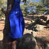 Review photo of Springer Gulch by Erik F., July 1, 2017