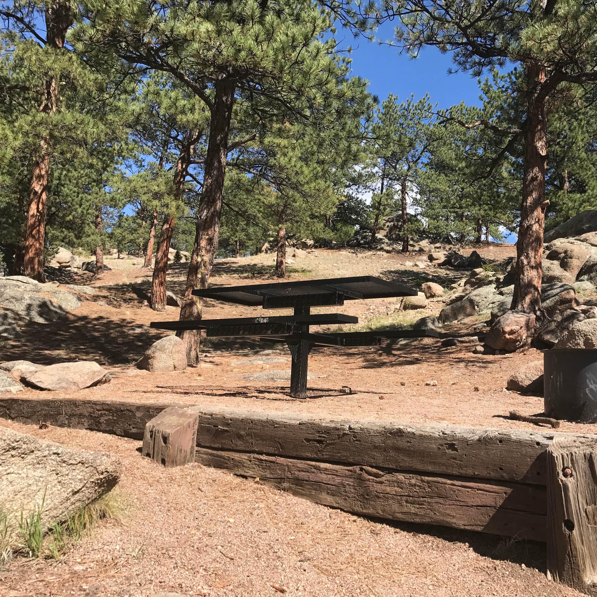 Springer Gulch Camping The Dyrt