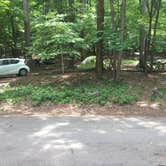Review photo of Blanchard Springs Recreation Area — Ozark St. Francis National Forests by Carla T., July 1, 2017