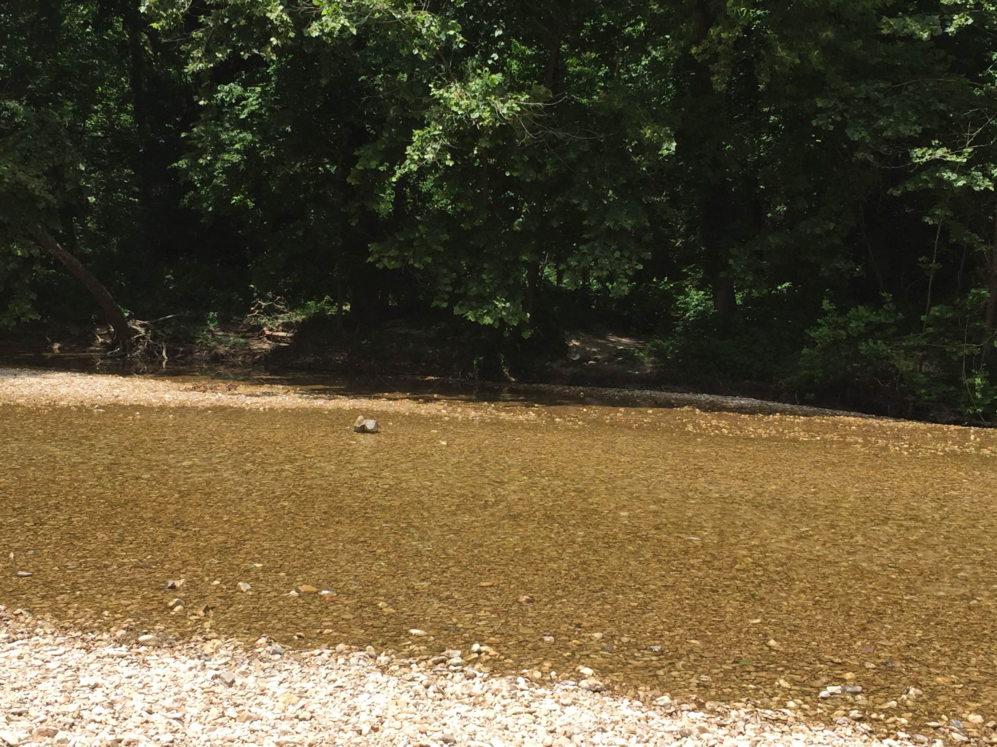 Camper submitted image from Blanchard Springs Recreation Area — Ozark St. Francis National Forests - 4