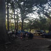 Review photo of Krause Springs by Emily M., July 1, 2017