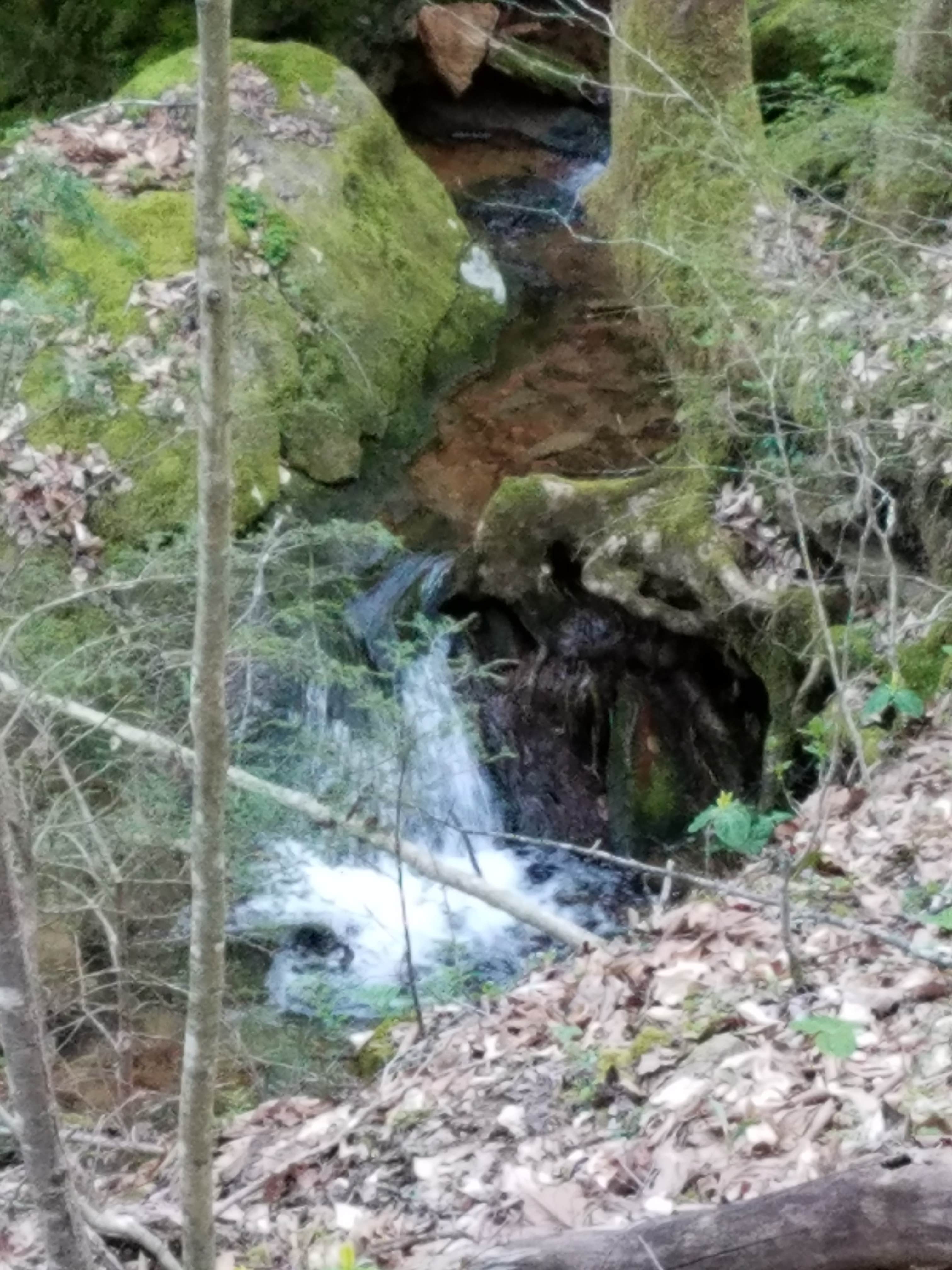 Blue Heron Campground — Big South Fork National River and Recreation Area