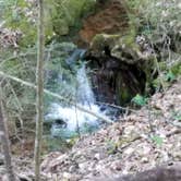 Review photo of Blue Heron Campground — Big South Fork National River and Recreation Area by Staci R., July 1, 2017