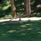 Review photo of Whistlers Bend County Park by Tim W., July 2, 2017