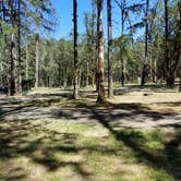 Review photo of Whistlers Bend County Park by Tim W., July 2, 2017