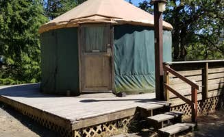 Tim W.'s photo of a cabin at Whistlers Bend County Park near Myrtle Creek, OR