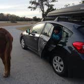 Review photo of Bayside Assateague Campground — Assateague Island National Seashore by Sarah C., July 2, 2017