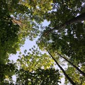 Review photo of Pike Lake Campground — Kettle Moraine State Forest-Pike Lake Unit by Steve M., July 2, 2017