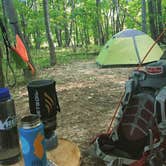 Review photo of Pike Lake Campground — Kettle Moraine State Forest-Pike Lake Unit by Steve M., July 2, 2017