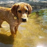 Review photo of Baker Campground - Baker Park Reserve by Melissa H., July 2, 2017