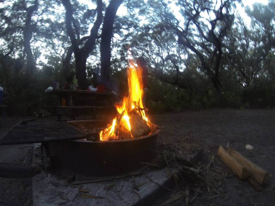 Sarah C.'s photo at Sea Camp Campground — Cumberland Island National Seashore near Callahan, FL