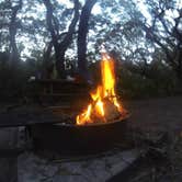 Review photo of Sea Camp Campground — Cumberland Island National Seashore by Sarah C., July 2, 2017