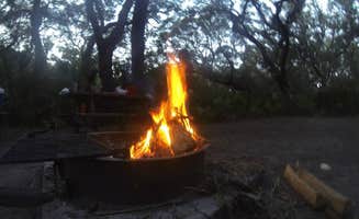 Sarah C.'s photo at Sea Camp Campground — Cumberland Island National Seashore near Cumberland Island National Seashore
