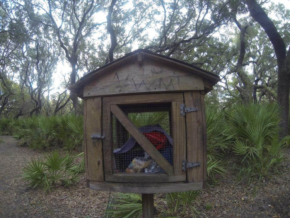 Camper submitted image from Sea Camp Campground — Cumberland Island National Seashore - 3