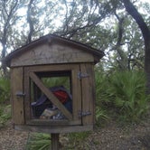 Review photo of Sea Camp Campground — Cumberland Island National Seashore by Sarah C., July 2, 2017