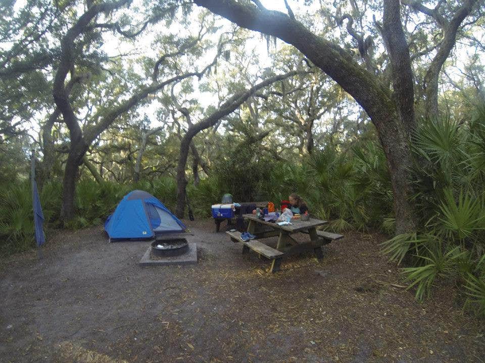 Sarah C.'s photo of tent camping at Sea Camp Campground — Cumberland Island National Seashore near Jekyll Island, GA