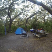 Review photo of Sea Camp Campground — Cumberland Island National Seashore by Sarah C., July 2, 2017