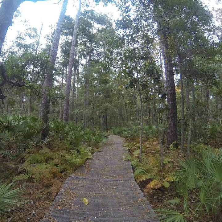 Crooked River State Park Camping The Dyrt
