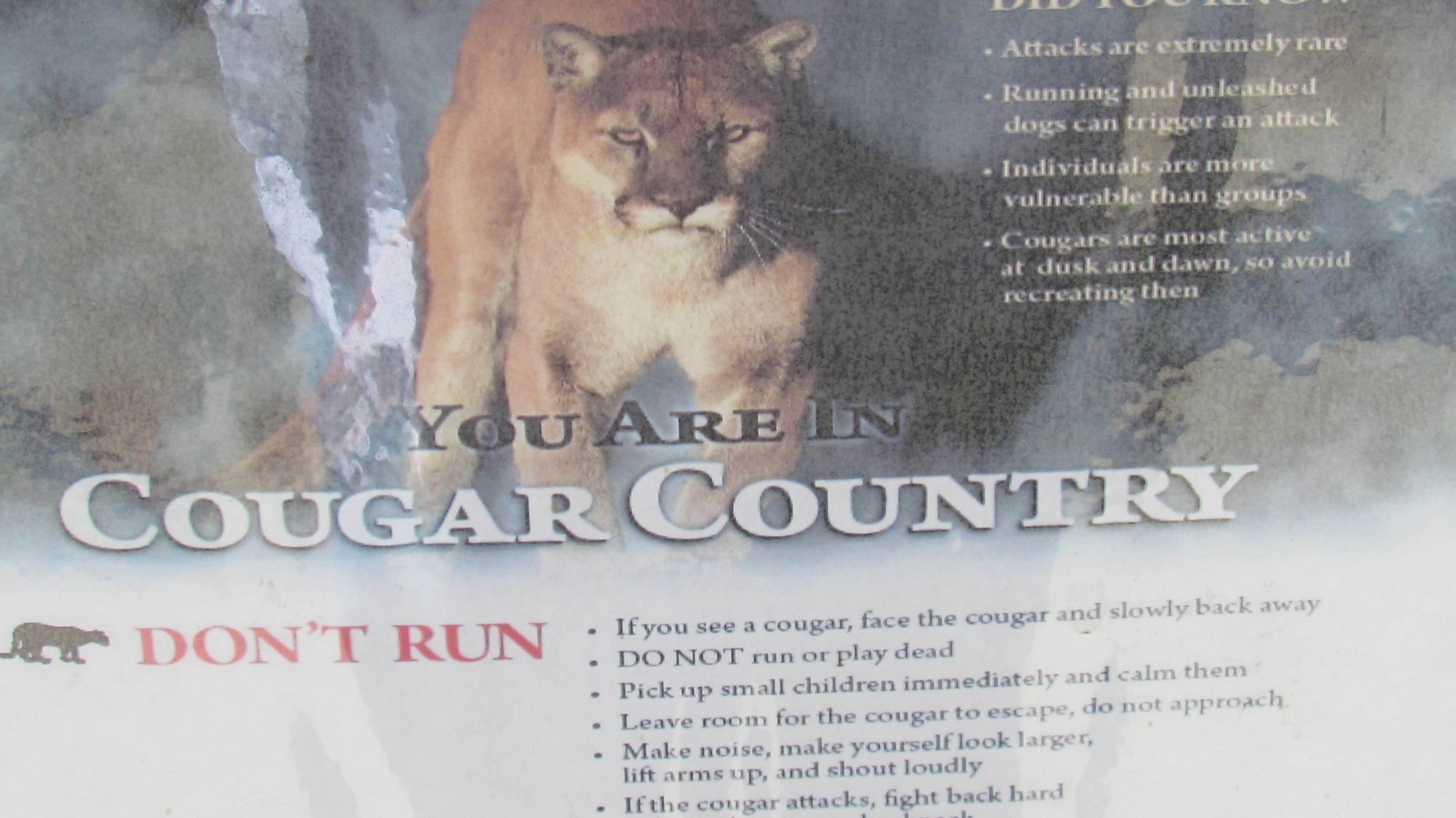Camper submitted image from Lake Alice Campground — Sugarite Canyon State Park - 5