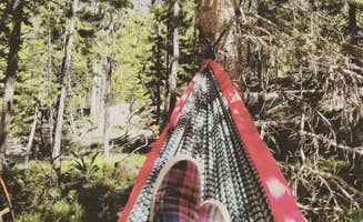 Kelsey C.'s photo at Trails End Campground Elkhart Park in Wyoming