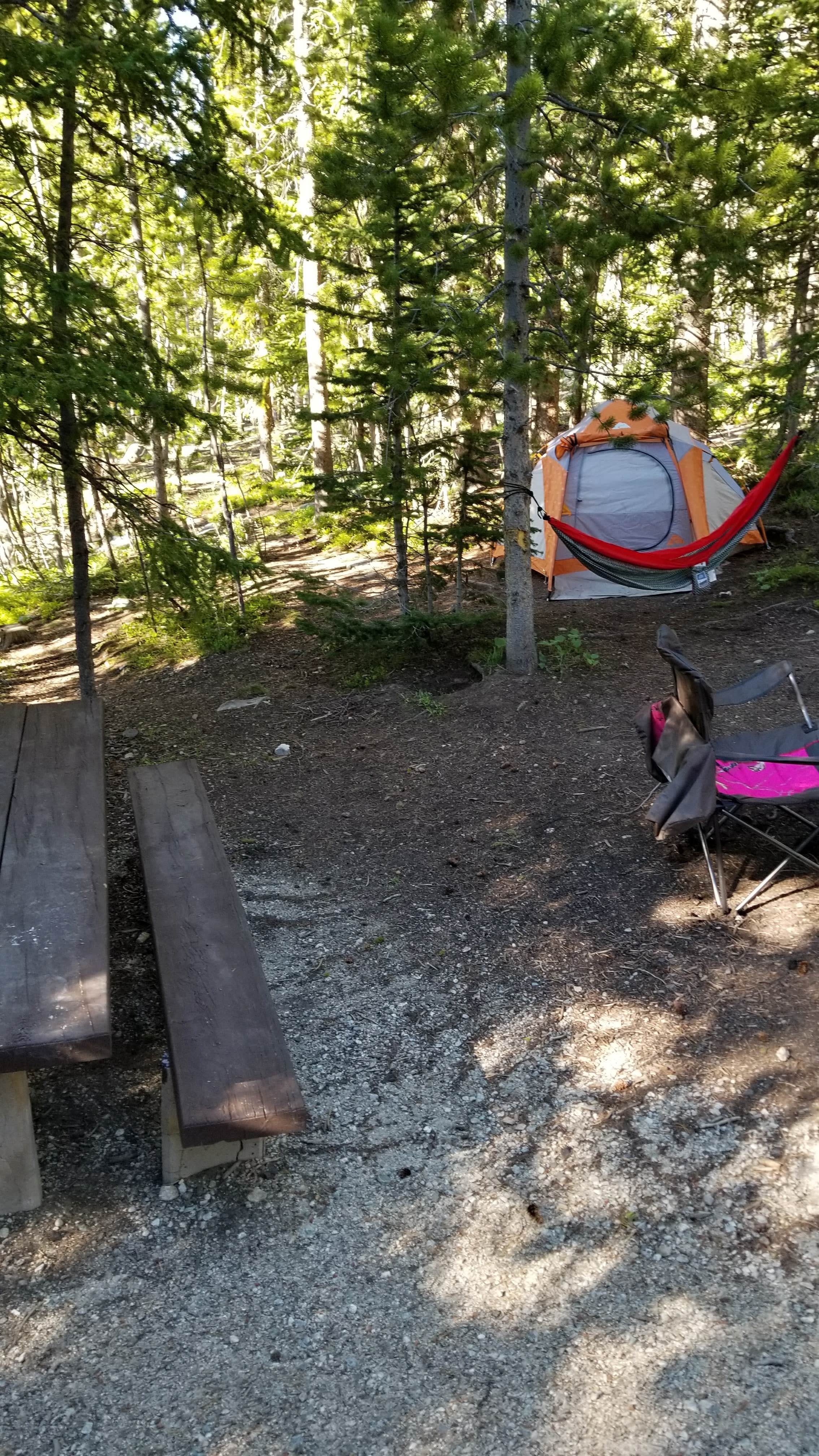 Camper submitted image from Trails End Campground Elkhart Park - 2