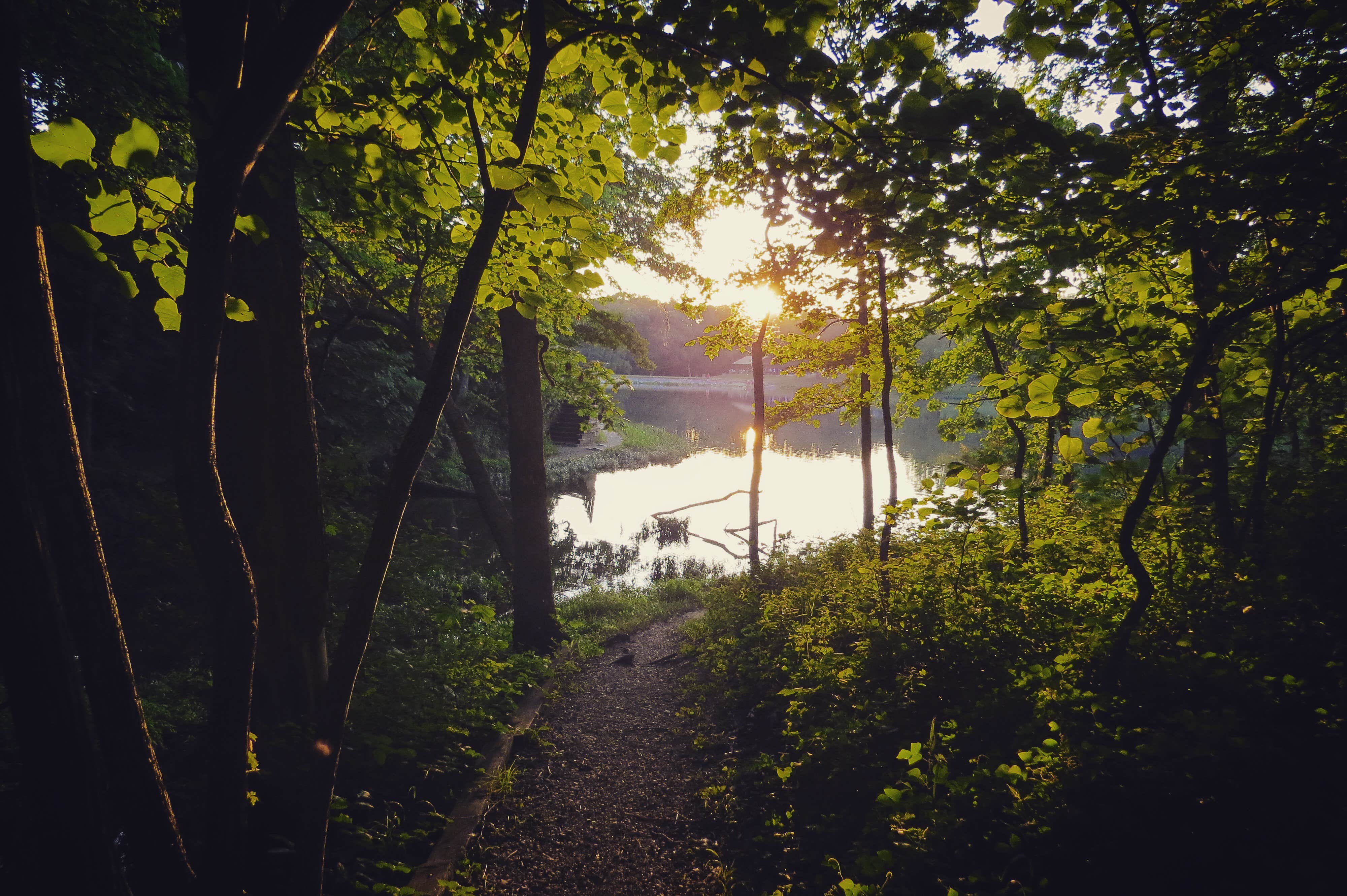 Camper submitted image from Wallace State Park Campground - 4