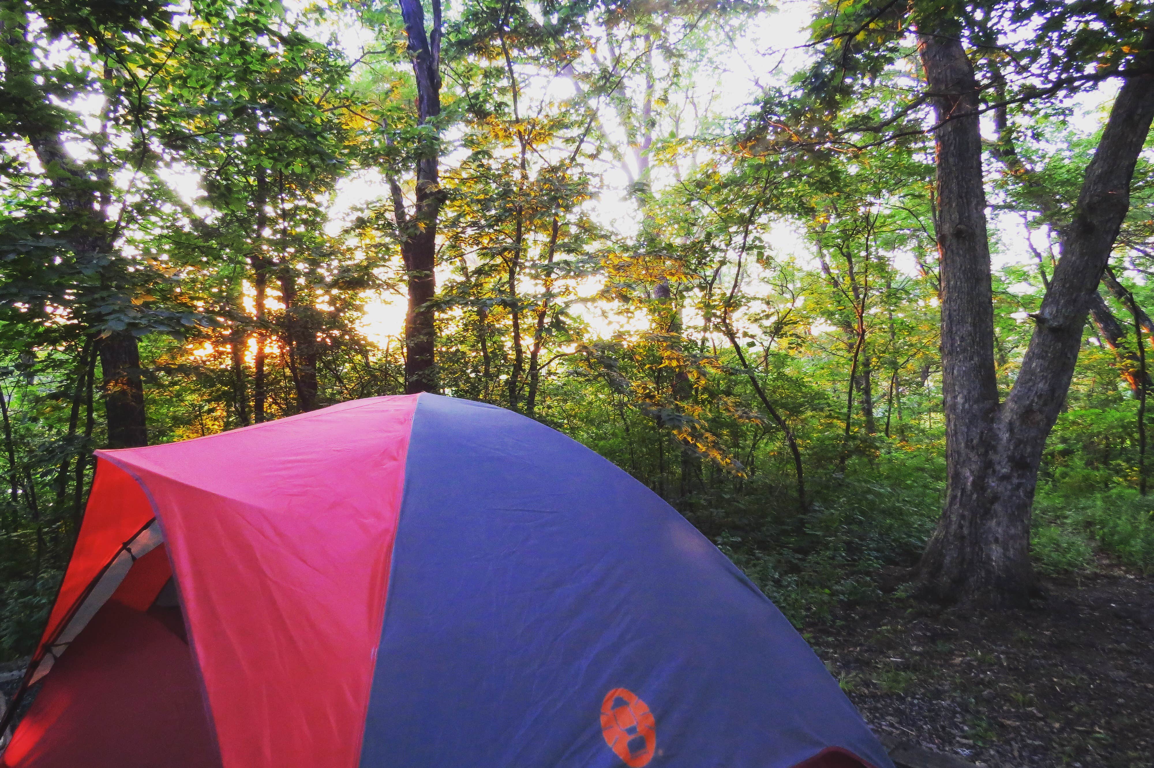 Camper submitted image from Wallace State Park Campground - 3
