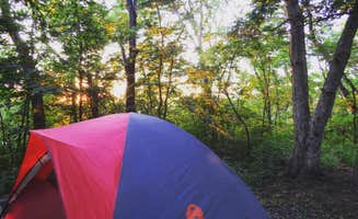 Justin S.'s photo at Wallace State Park Campground near Lathrop, MO